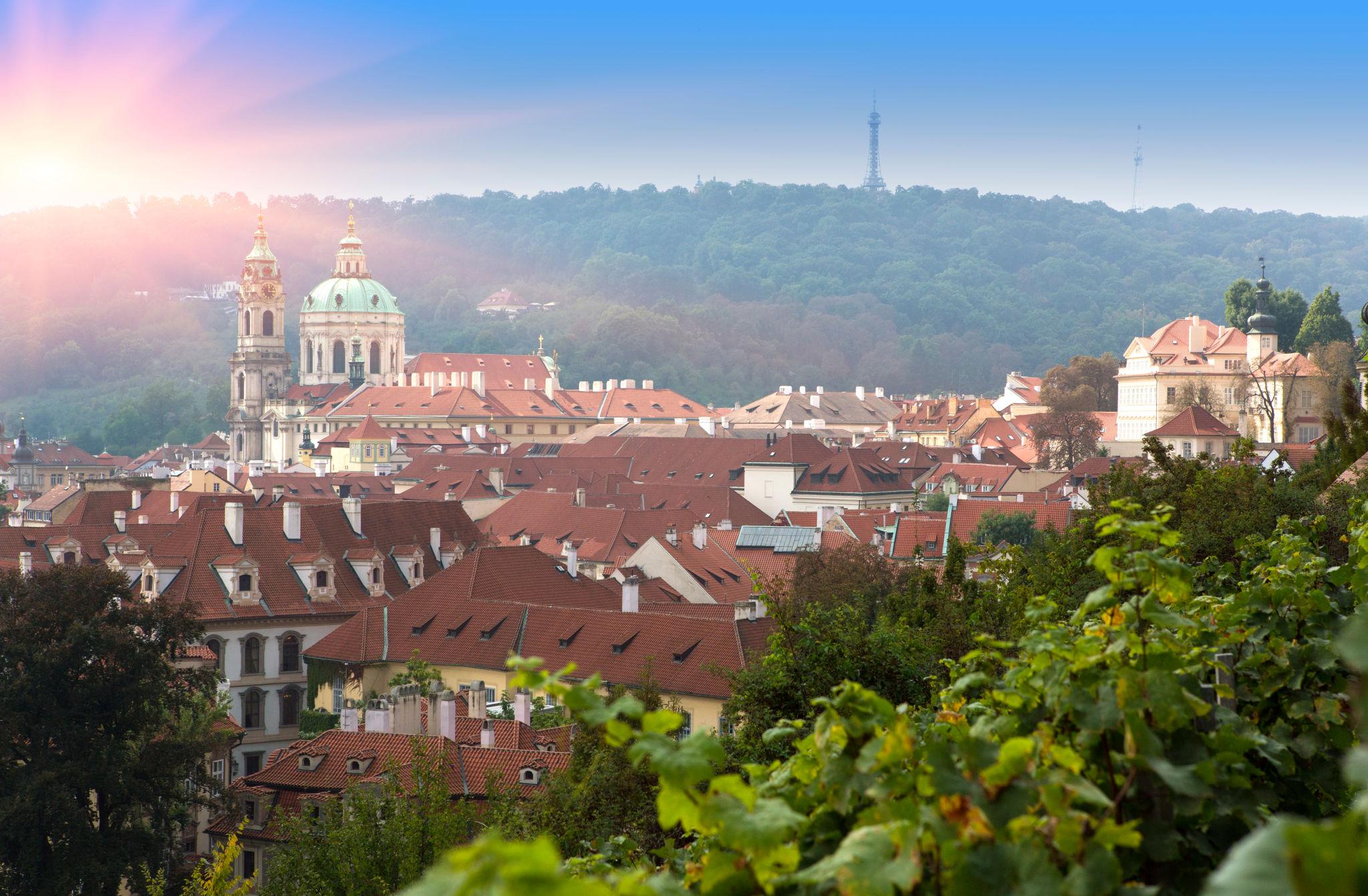 Swissinvest Development — náš tým v akci